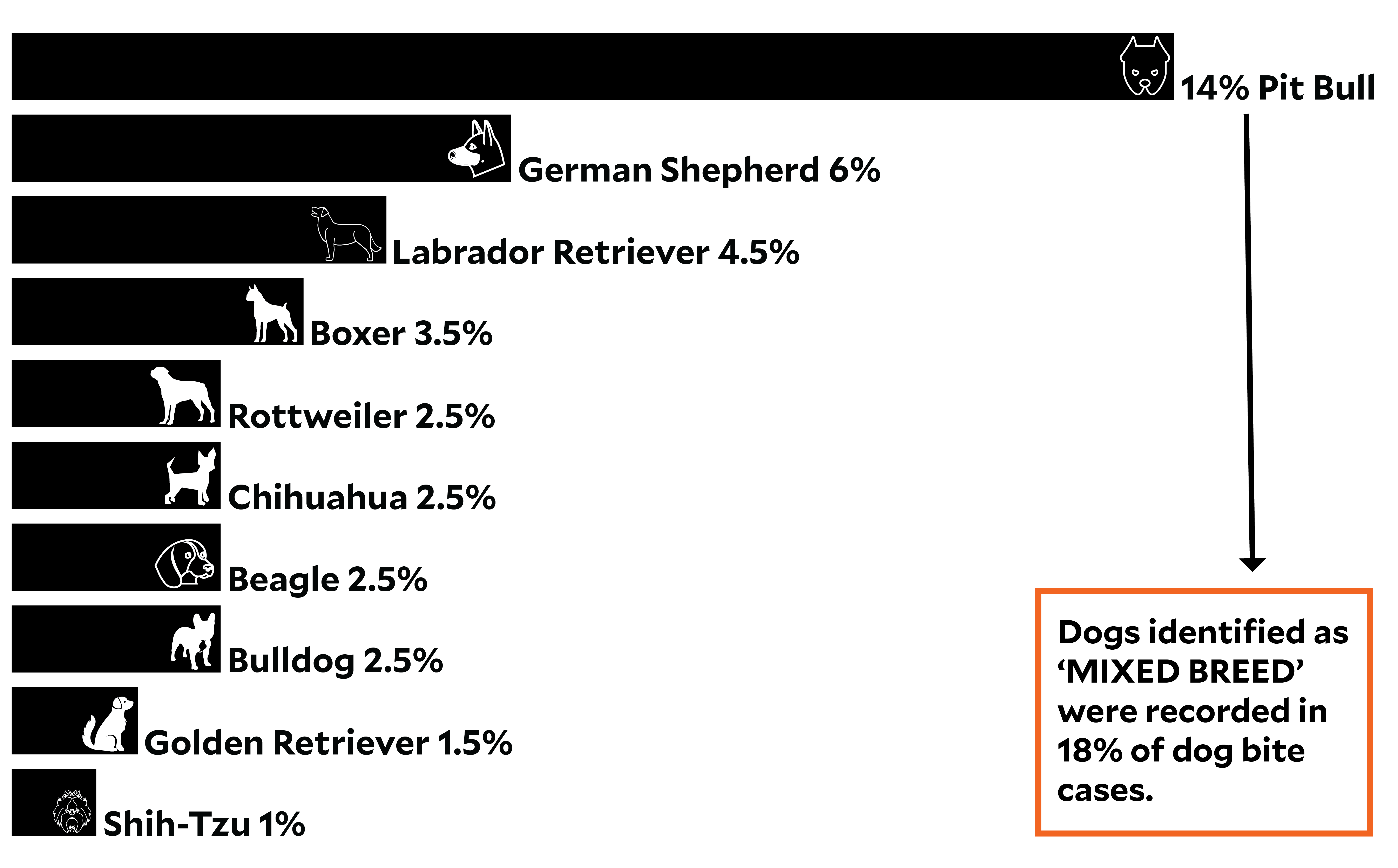 Are Dog Bites Common